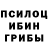 Псилоцибиновые грибы Psilocybine cubensis Felix Kharebov