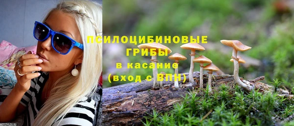 каннабис Гусев
