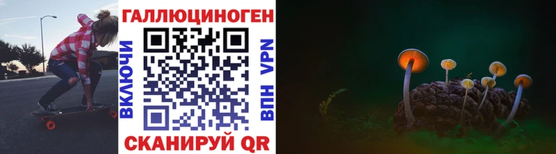 Купить закладки  Приморско-Ахтарск  Галлюциногенные грибы мухоморы 
